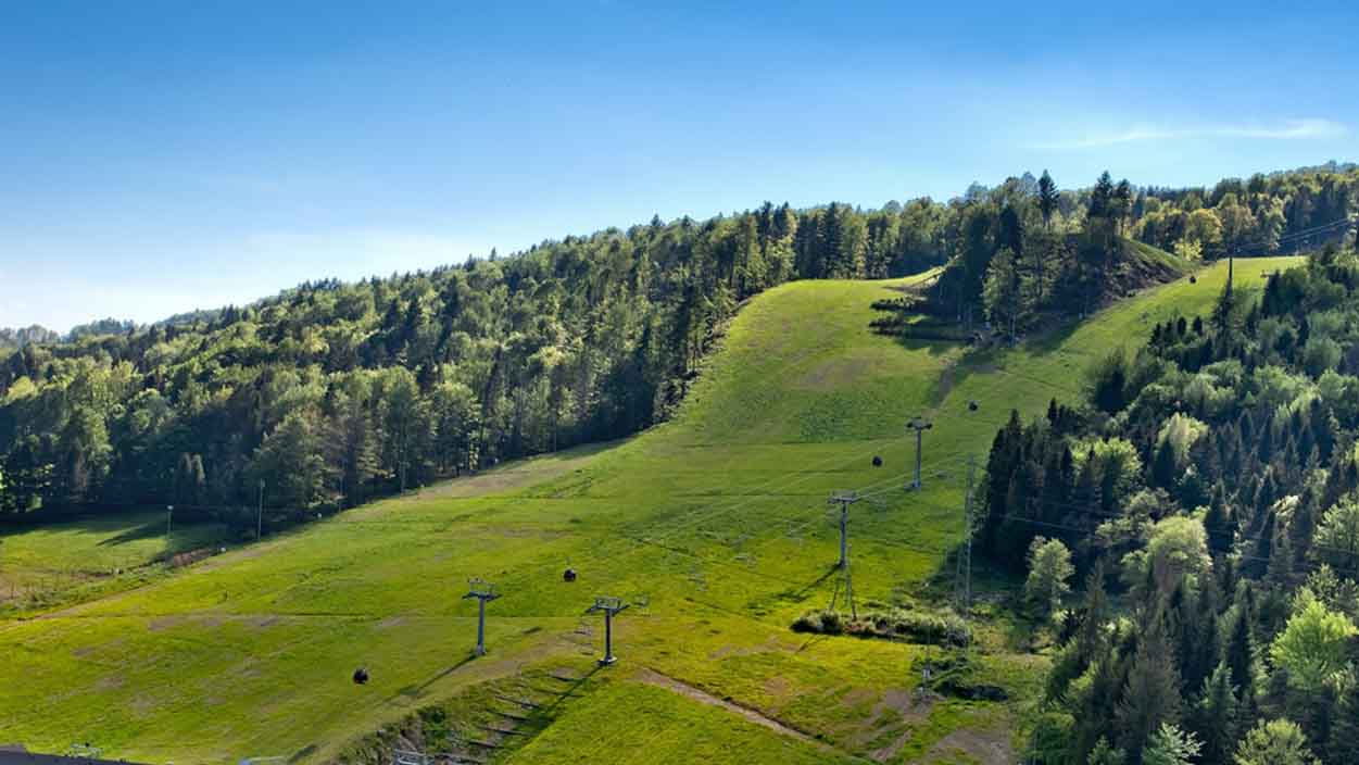 Widok na Jaworzynę Krynicką latem 